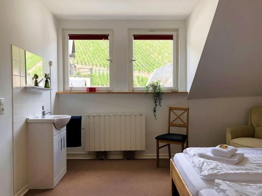 Ferienhaus Schwanennest 摩泽尔河畔的泽尔 外观 照片